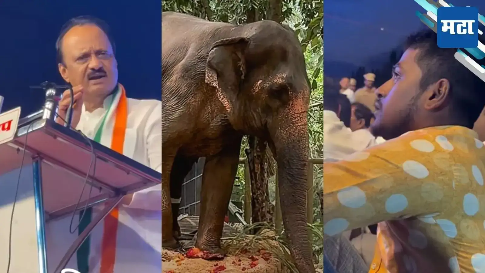 दादा, माधुरी हत्ती आणा परत! भरसभेत तरुणाची मागणी; अजित पवारांनी भाषण थांबवलं अन् मग… दादा, माधुरी हत्ती आणा परत! भरसभेत तरुणाची मागणी; अजित पवारांनी भाषण थांबवलं अन् मग…