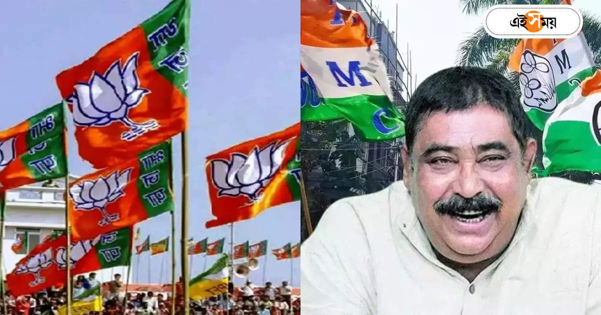 Anubrata Mondal : BJP নেতার ‘স্লিপ অফ টাং’! আক্রমণ করতে গিয়ে সংগঠক অনুব্রতর প্রশংসা – birbhum bjp leader says anubrata mondal was good with organizational decision as a leader