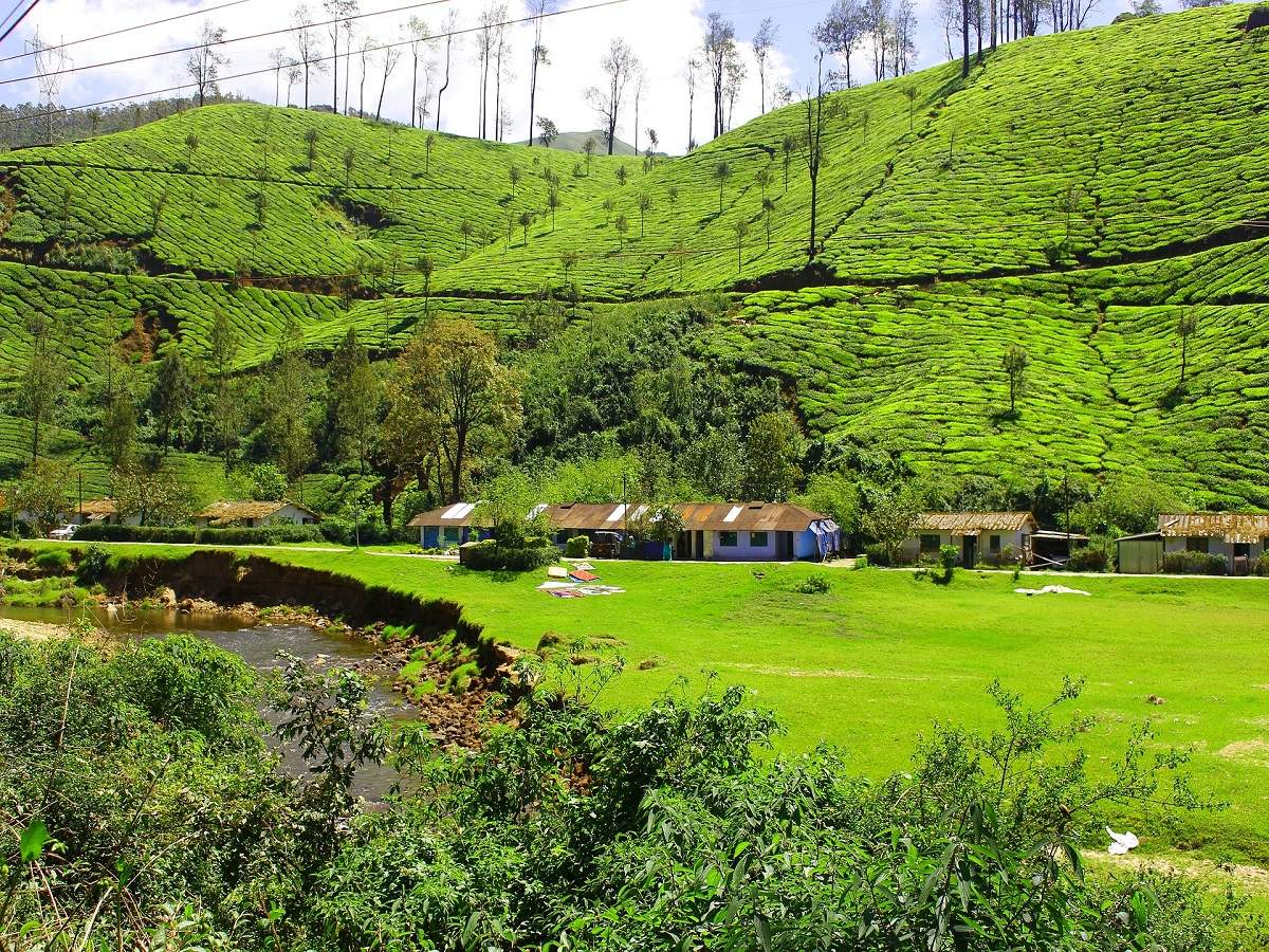 Tourist Places In Coorg,कुर्ग जैसी खूबसूरत जगह पर घूमने लायक हैं ये 7 बेहतरीन प्लेसेस, यहां की हरियाली देख हर किसी का घूमने का करता है मन - places to visit in