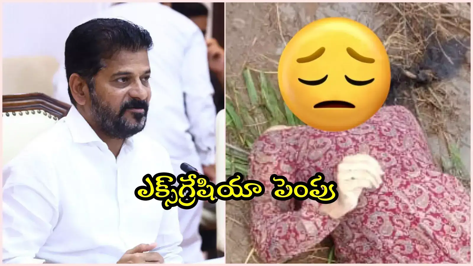 సీఎం రేవంత్ కీలక నిర్ణయం.. వరదల్లో మృతి చెందిన వారి కుటుంబాలకు ఎక్స్‌గ్రేషియా పెంపు