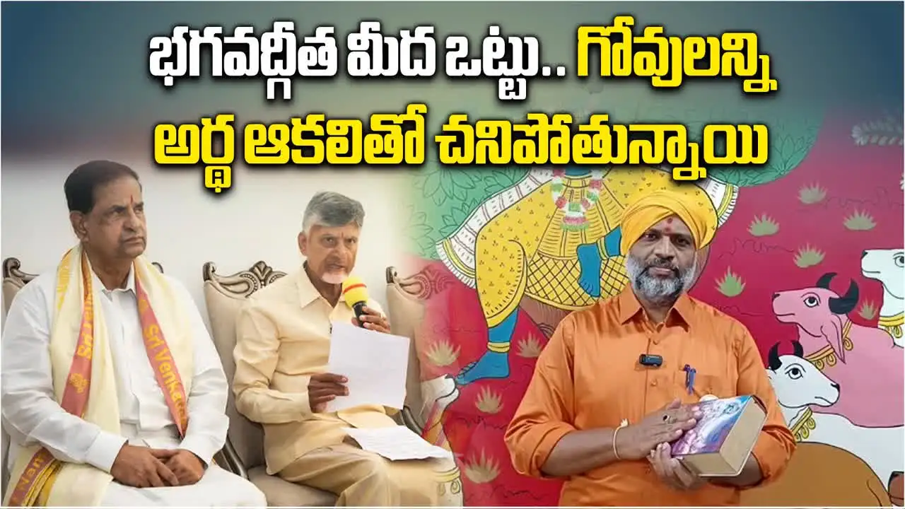 భగవద్గీత మీద ఒట్టు.. గోవులన్నీ అర్థ ఆకలితో చనిపోతున్నాయి..