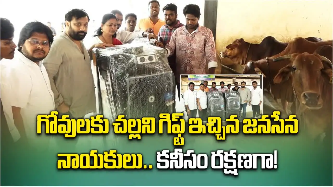 Kiran Royal: తిరుపతి గోశాలలో కిరణ్ రాయల్.. ఆవుల కోసం చల్లని బహుమతి