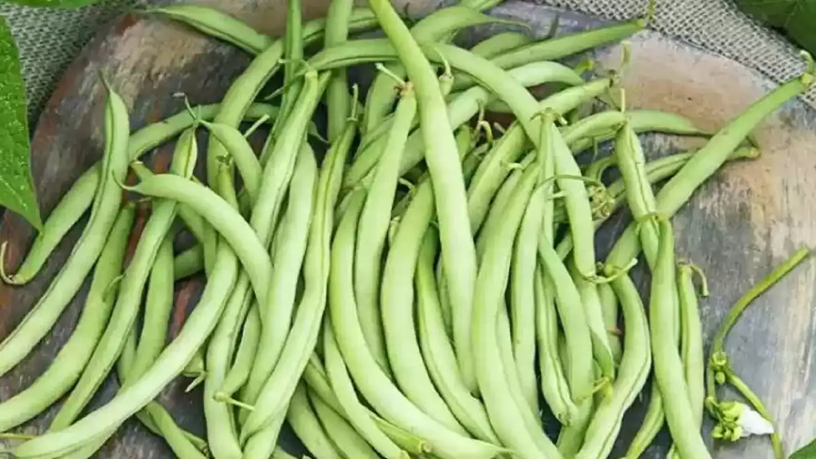 பீன்ஸ் விலை உயர்வு.. இன்றைய காய்கறி விலைப் பட்டியல்! 