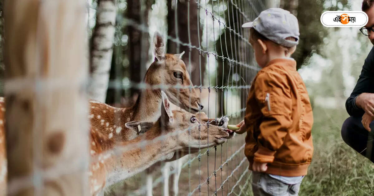 Darjeeling Zoo : দার্জিলিং চিড়িয়াখানায় হবে DNA ল্য়াব – dna laboratory will be built at darjeeling zoo