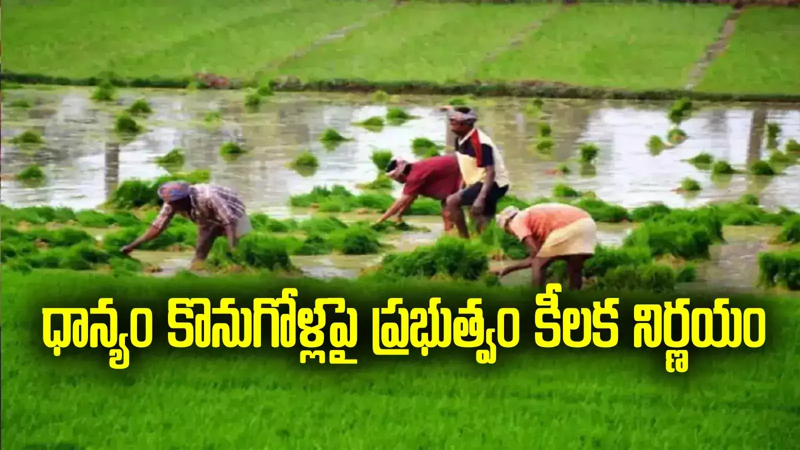 ఏపీ రైతులకు అలర్ట్.. ధాన్యం కొనుగోళ్లపై ప్రభుత్వం కీలక నిర్ణయం.. అవి తప్పనిసరి