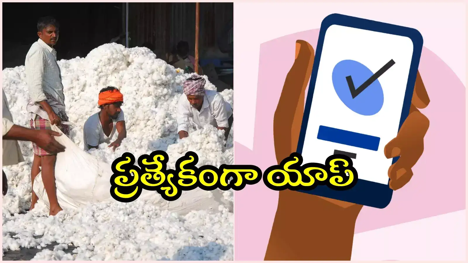 పత్తి డబ్బుల చెల్లింపులకు ప్రత్యేక యాప్.. అన్నదాతకు ఆ టెన్షన్ లేదు