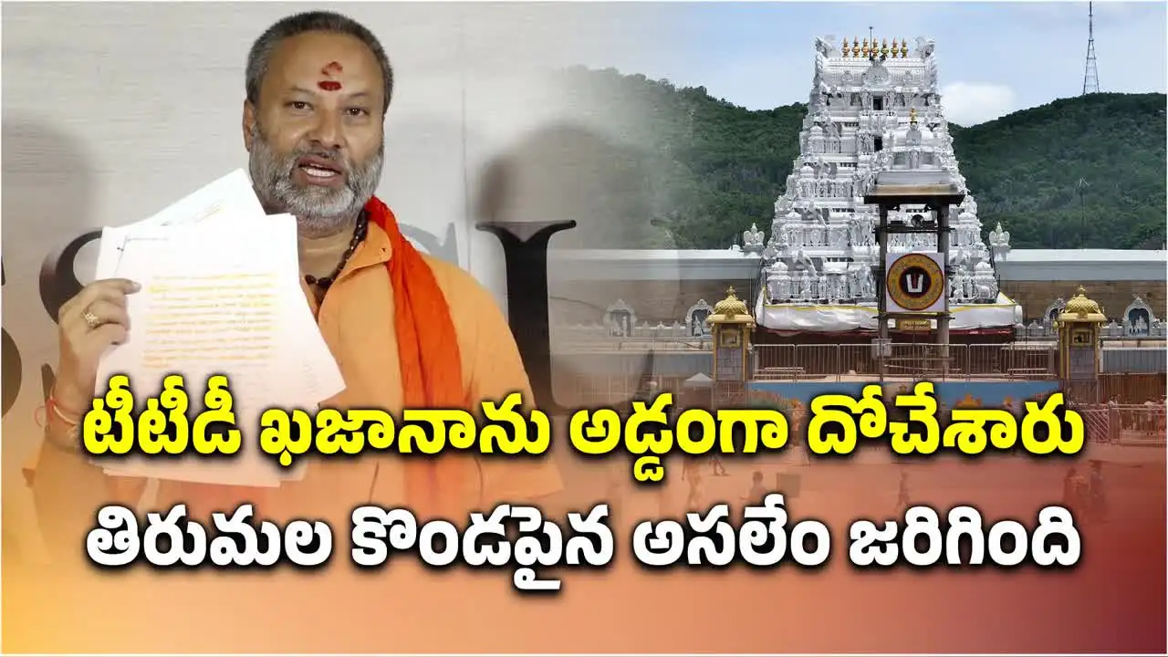 శ్రీవారి ఖజానాను అడ్డంగా దోచేశారా? కొండపై ఏం జరిగింది?