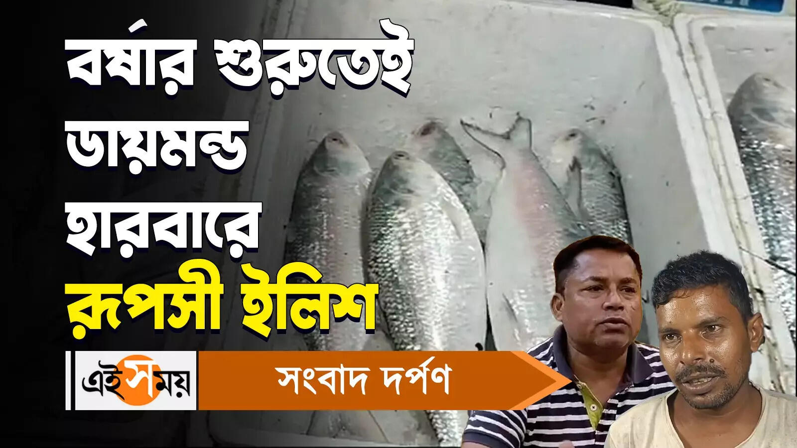 Ilish Mach : বর্ষার শুরুতেই ডায়মন্ড হারবারে রূপসী ইলিশ – hilsa fish 3 to 4 ton entered in diamond harbour nagendra bazar fish market watch video