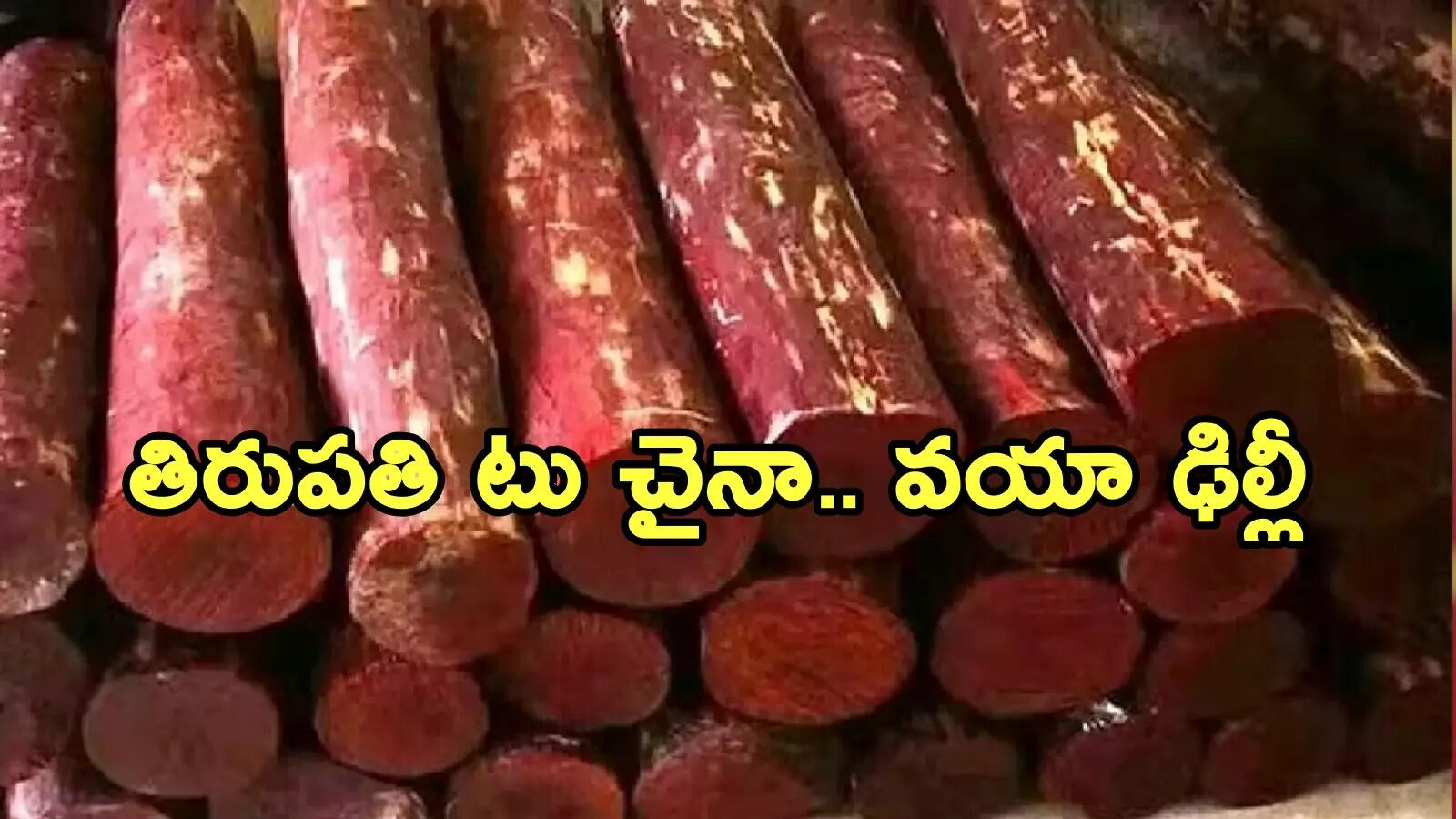 తిరుపతిలో చోరీకి గురైన రూ.10 కోట్ల విలువ చేసే ఎర్రచందనం చోరీ.. ఢిల్లీలో పట్టుకున్న పోలీసులు