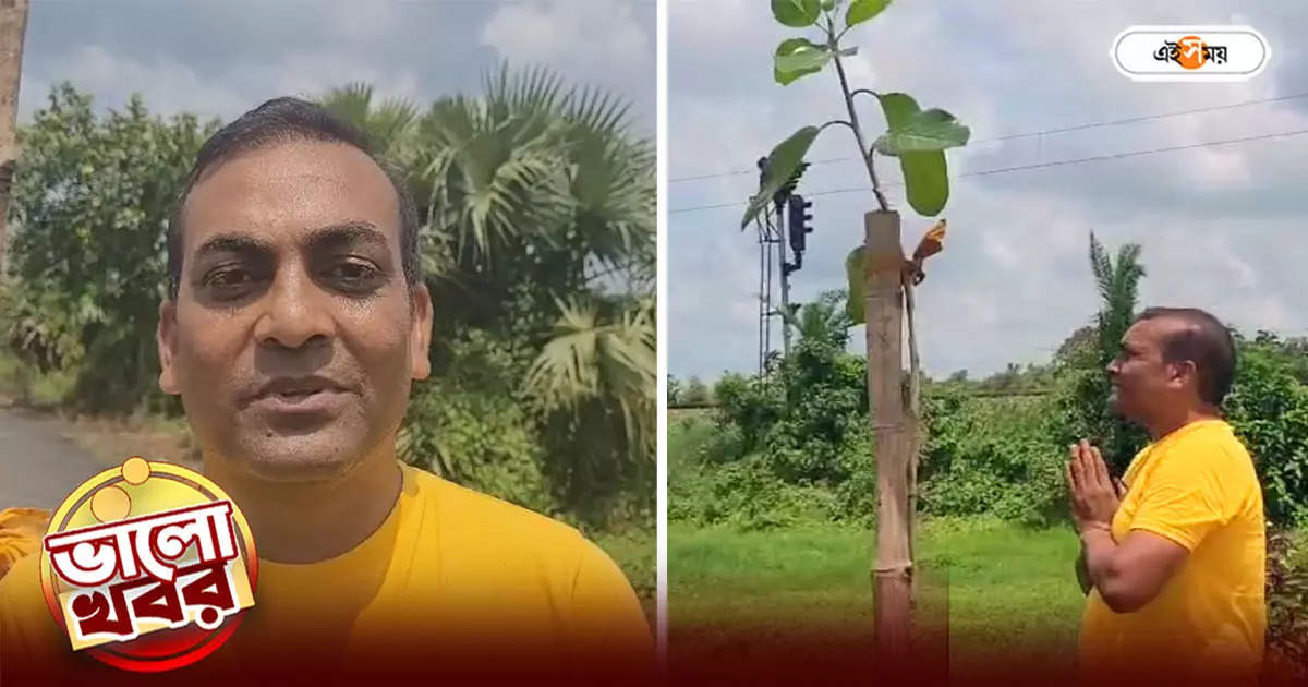 Tree Plantation : টার্গেট ৫ হাজার বৃক্ষরোপণ, পরিবেশ রক্ষার পাঠ শেখাচ্ছেন কাঁথির শিক্ষক – five thousand banyan tree plantation target by purba medinipur school teacher good news