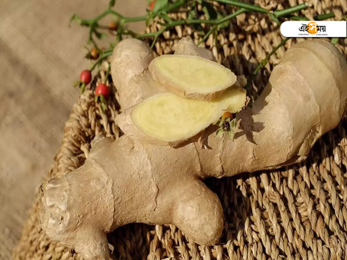 son eklenen pornolar vk sert porn