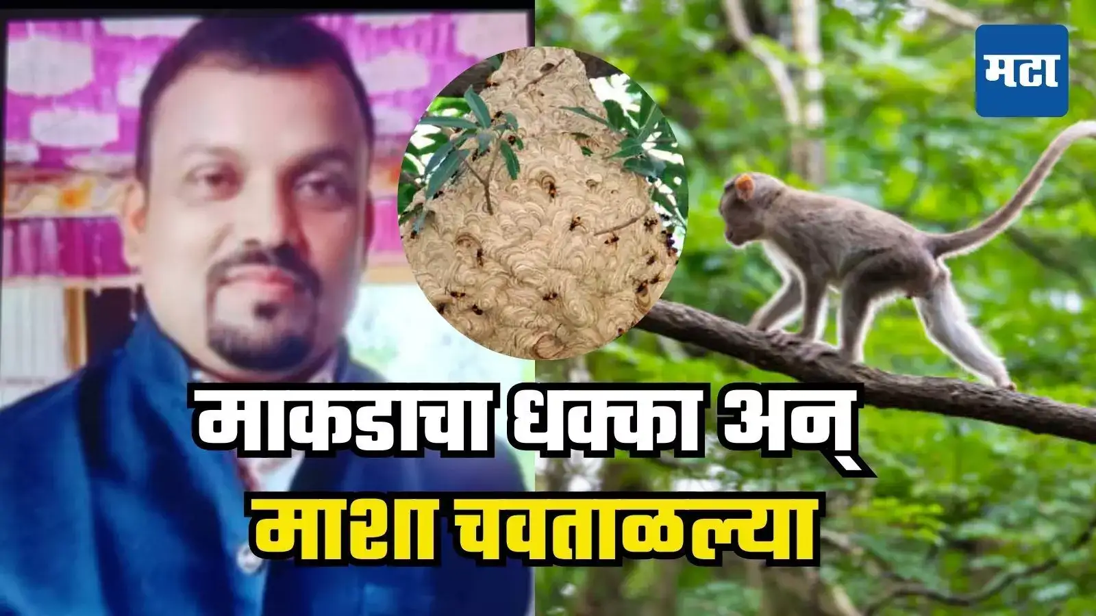 माकडाची चूक युवकाला भोवली, रानात फांदीला धक्का लागला अन्… कोकणातील कुटुंबाचा आधार हरपला माकडाची चूक युवकाला भोवली, रानात फांदीला धक्का लागला अन्… कोकणातील कुटुंबाचा आधार हरपला