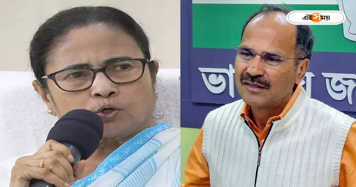 Adhir Chowdhury News : ‘আপনি তো মুখ্যমন্ত্রী…নিজে যান সন্দেশখালি’, মমতাকে খোঁচা অধীরের – adhir ranjan chowdhury appealed cm mamata banerjee to visit sandeshkhali village to know the real fact