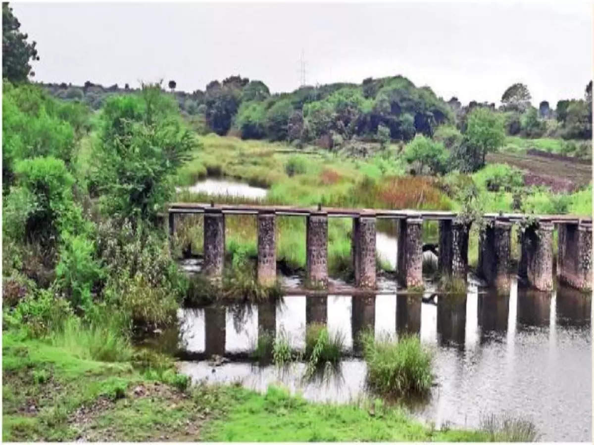 मराठवाड्यात पाणीचिंता; पावसाने दडी मारल्याने लघु प्रकल्प कोरडेठाक, कोणत्या धरणात किती पाणी?