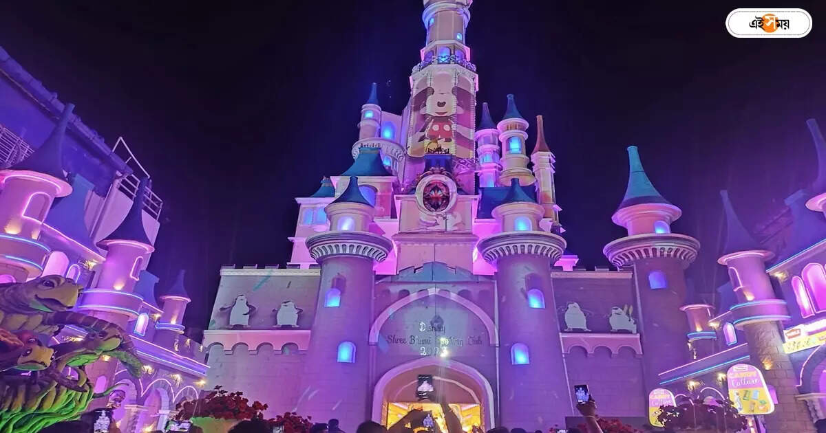 Sreebhumi Disneyland Pandal : শ্রীভূমির ডিজনিল্যান্ড কি ধ্বংস হবে না পাড়ি দেবে অন্য কোথাও? মুখ খুললেন ক্লাব কর্তা – sreebhumi sporting club pandal will be demolish but few parts to keep in local park