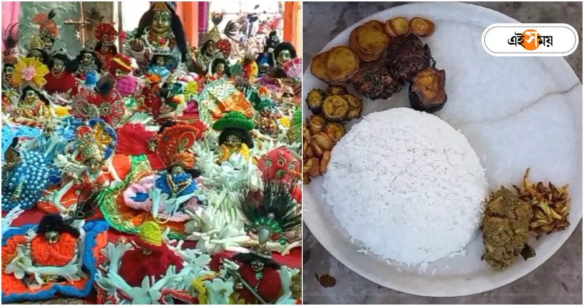 Picnic In Winter : এবার ‘পিকনিক’-এ বাড়ির গোপাল, কী কী খাওয়া হল জানেন? – special picnic for lord gopal at east burdwan
