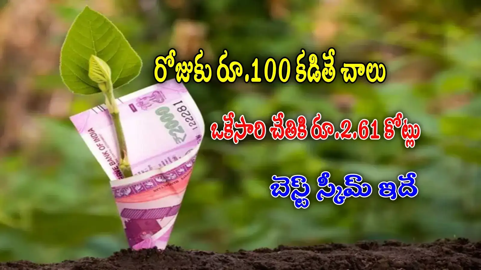 Quant Flexi Cap Fund,SIP Calculator: రోజుకు రూ.100 కడితే చాలు.. ఒకేసారి ...