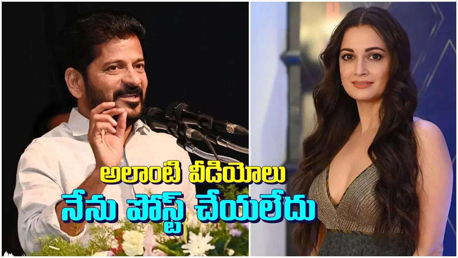 సీఎం రేవంత్ రెడ్డి చేసిన కామెంట్స్ పూర్తిగా అవాస్తవం: నటి దియామీర్జా