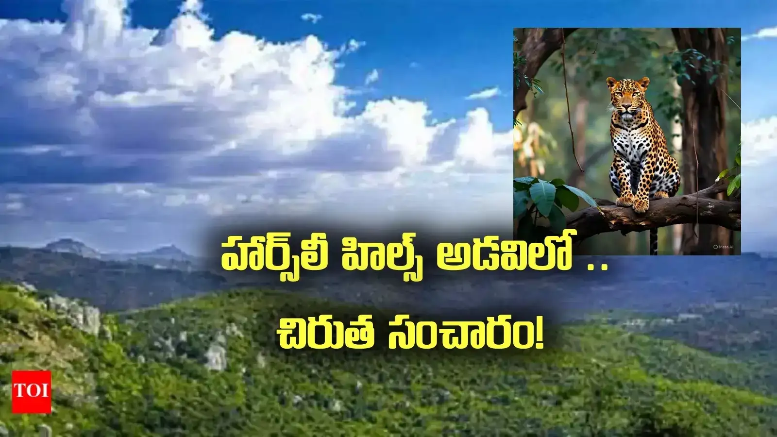 హార్స్‌లీ హిల్స్‌ అడవిలో చిరుత సంచారం.. టూరిస్టులూ బీ అలర్ట్..!