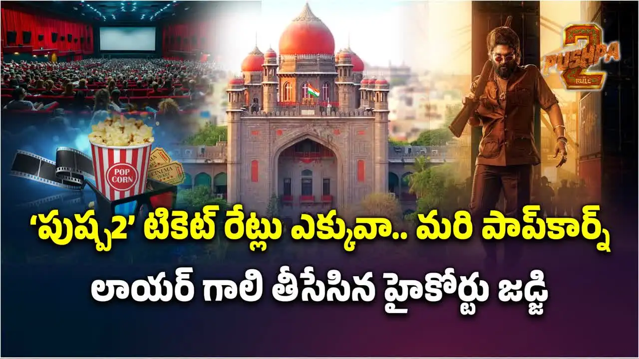 పుష్ప 2 టికెట్ రేట్ల పెంపుపై హైకోర్టు కీలక వ్యాఖ్యలు