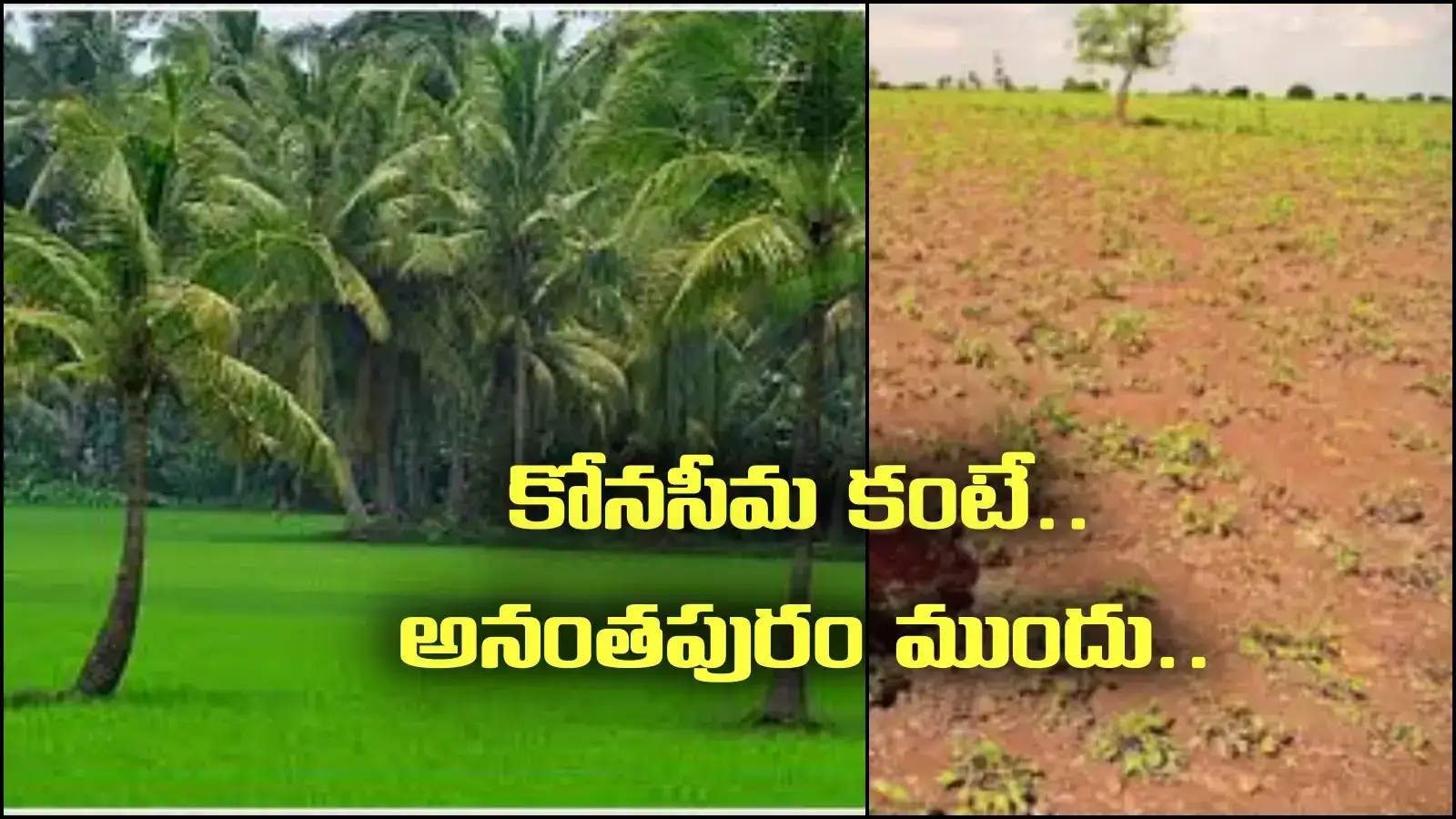 పచ్చని కోనసీమ కంటే.. కరవు ప్రాంతమైన అనంతపురం ముందు.. అదెలాగంటే?