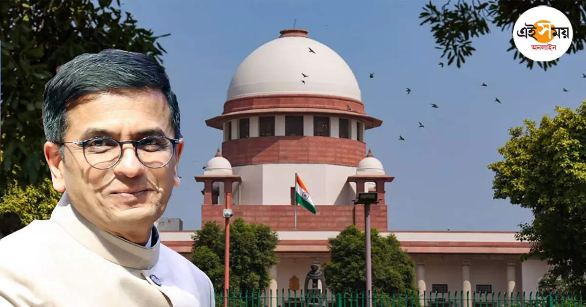 রাজ্যের ওবিসি সার্টিফিকেট বাতিল মামলা আর শুনবেন না সুপ্রিম কোর্টের প্রধান বিচারপতি চন্দ্রচূড় – supreme court chief justice dy chandrachud will not attend obc certificate case