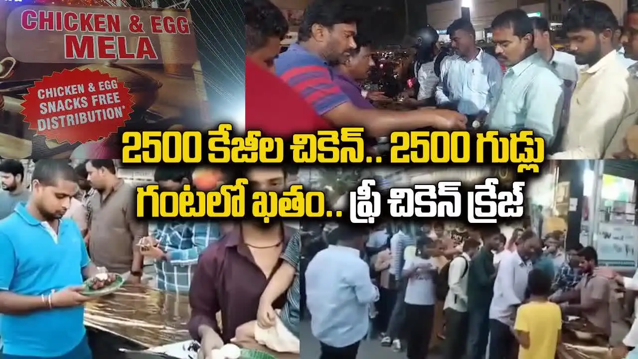 బర్డ్‌ఫ్లూ లేదూ.. బాంబో లేదూ.. ఫ్రీ చికెన్‌, ఫ్రీ ఎగ్స్‌ కోసం ఎగబడిన జనం.. వారం రోజులు జాతరే..!