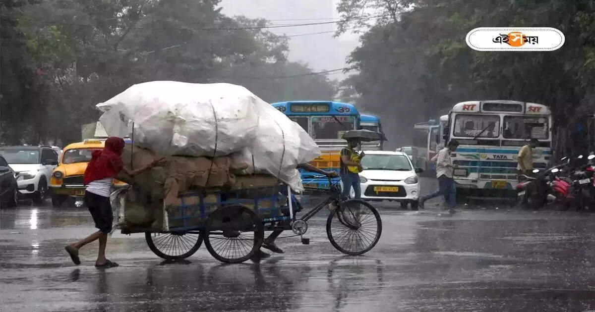 Kolkata Traffic Update : সকাল থেকেই ব্যাপক বৃষ্টি, কলকাতার রাস্তাঘাটের হালহকিকত কেমন? – kolkata traffic police giving kolkata traffic update on today 12 august 2023