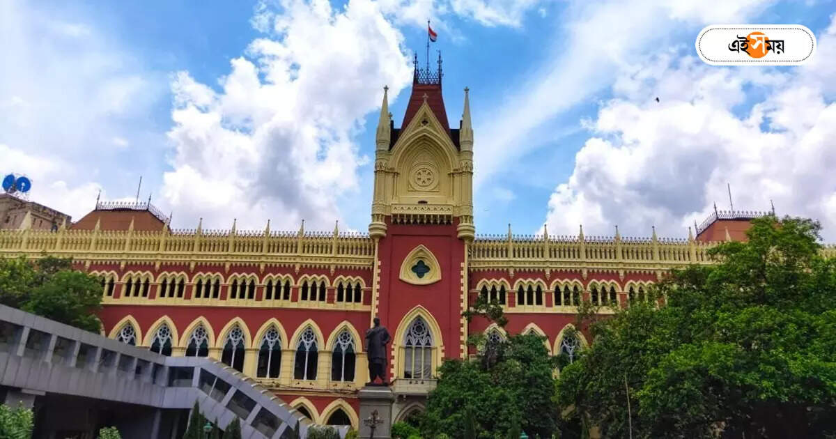 Calcutta High Court : মহিলা গরিব বলে কাজ করেনি সরকারি ‘বাবুরা’, তোপ কোর্টের – justice abhijit gangopadhyay fired a cannon at school inspector