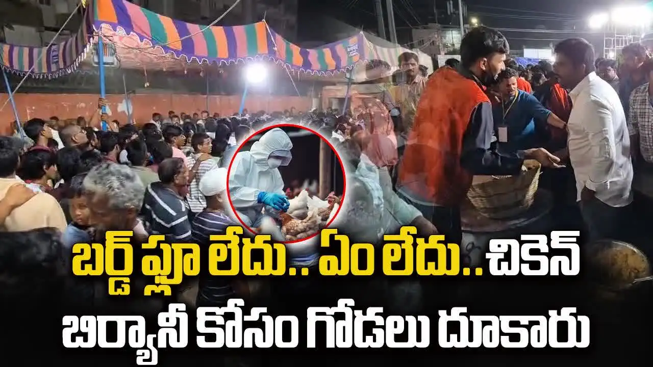 బర్డ్ ఫ్లూ లేదు.. ఏం లేదు.. చికెన్ కోసం ఎగబడిన జనం..