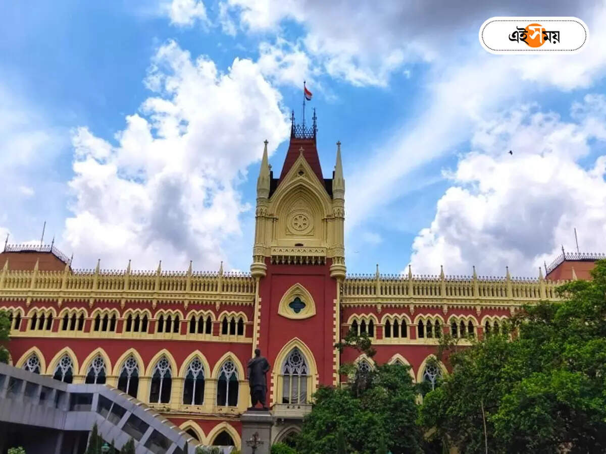 Justice Amrita Sinha: ভোটারের থেকেও বুথে ভোটের সংখ্যা বেশি! ‘ভুতুড়ে কাণ্ড’ নিয়ে রিপোর্ট তলব বিচারপতি সিনহার – calcutta high court justice amrita sinha orders probe to verify number of legal ballot papers from habra ashokhnagar booth in the west bengal panchayat elections