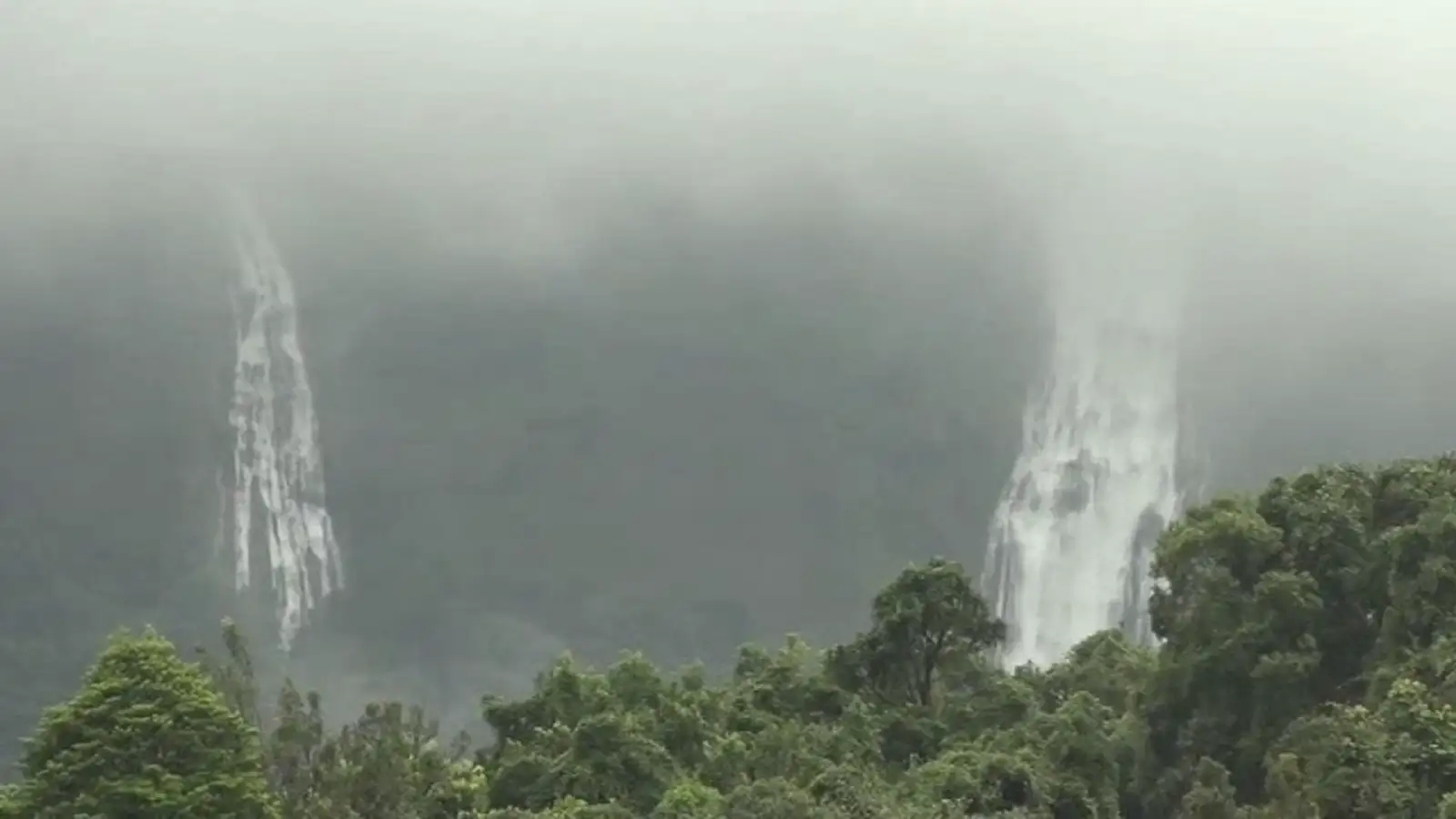 கோவையில் தொடர் மழை...சுற்றுலா தலங்கள் மூடல்! 