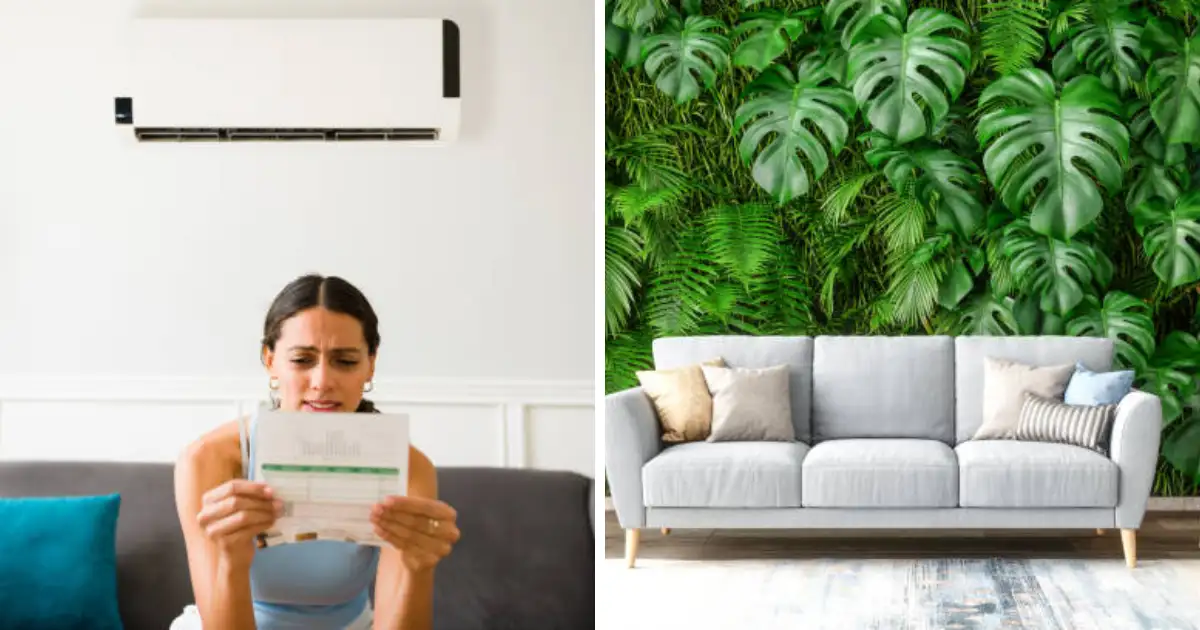 How To Keep House Cool Without AC With Help Of 5 House Plants And DIY how-to-keep-house-cool-without-ac-with-help-of-5-house-plants-and-diy