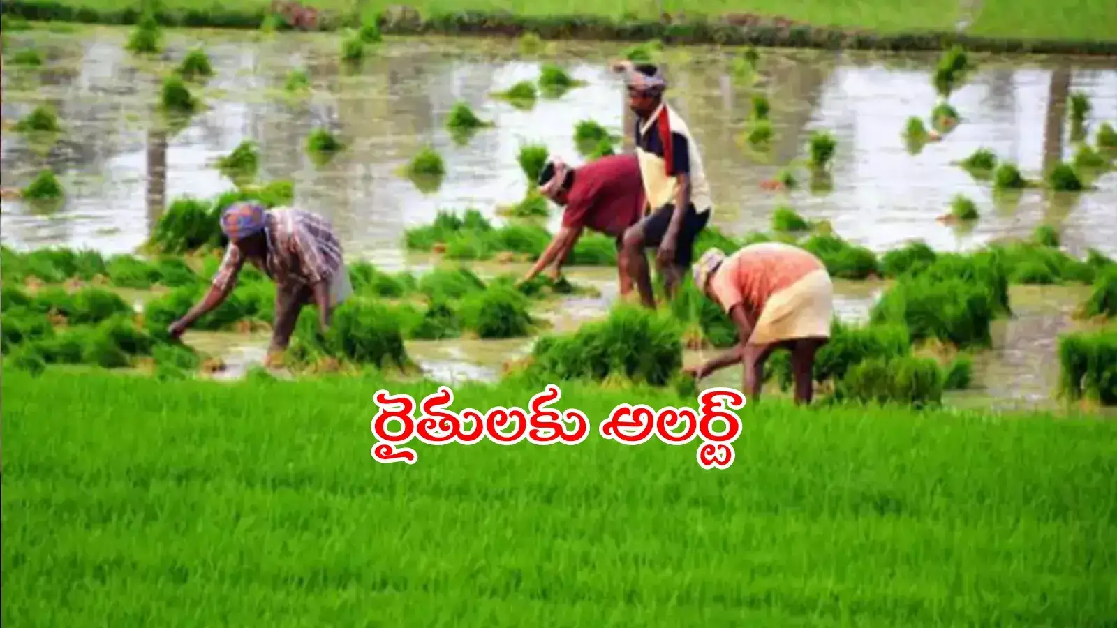 తెలంగాణ రైతులకు అలర్ట్.. వారు రుణమాఫీకి దరఖాస్తు చేసుకోవచ్చు