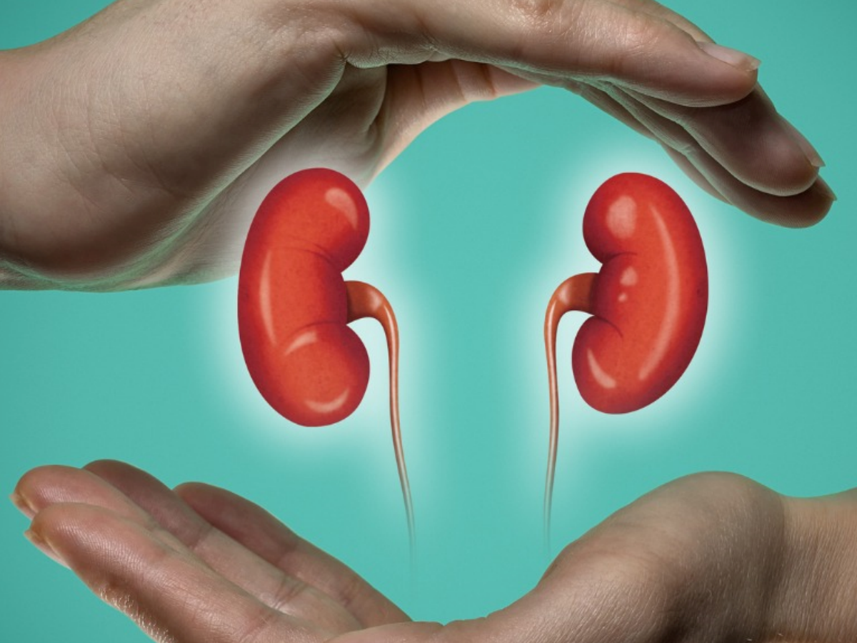 If there is an infection in the kidney… these are the symptoms to watch out for