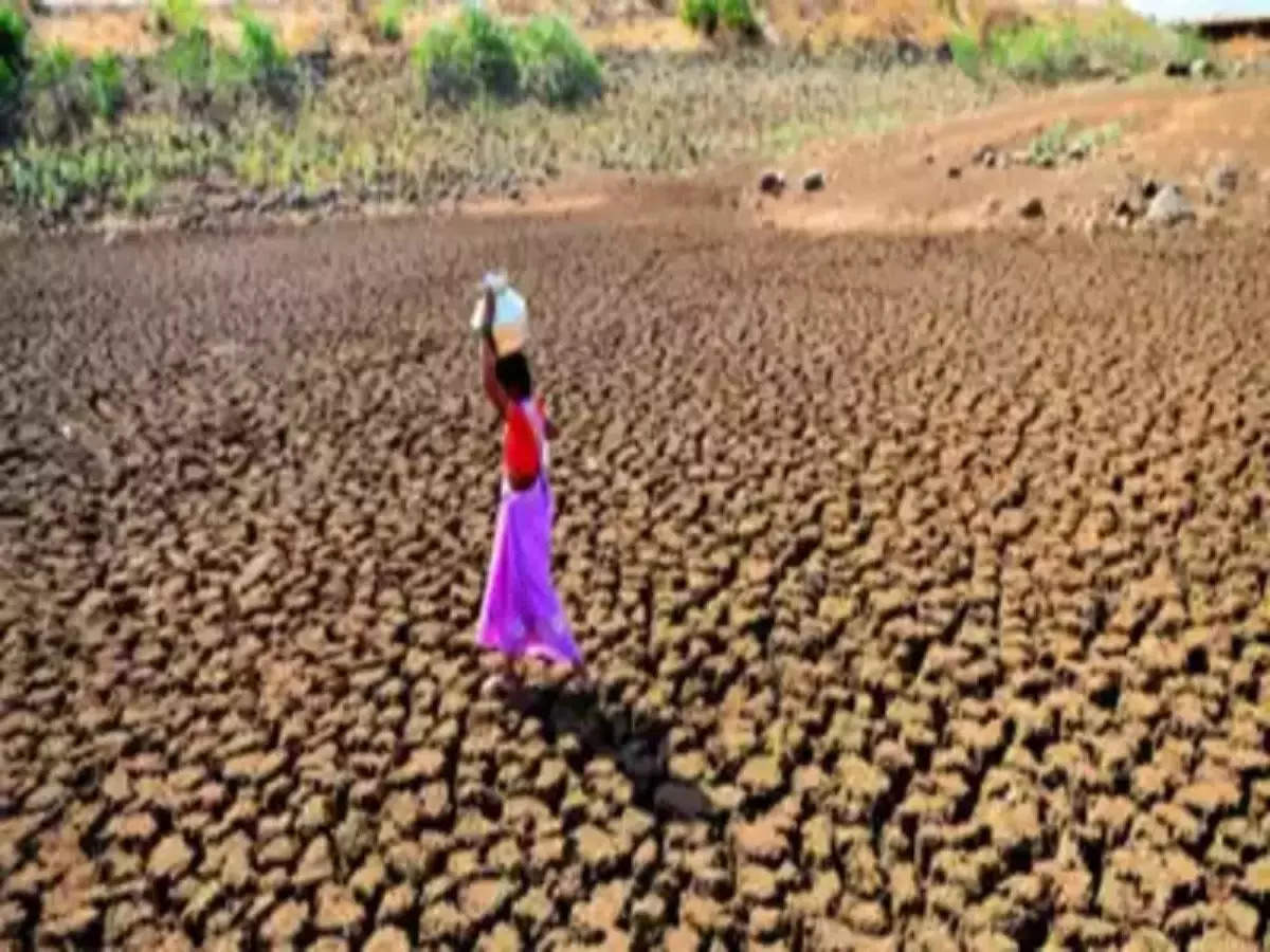 राज्यात या ९ जिल्ह्यांत दुष्काळ जाहीर, बळीराजावर पुन्हा संकट; सवलती जाहीर