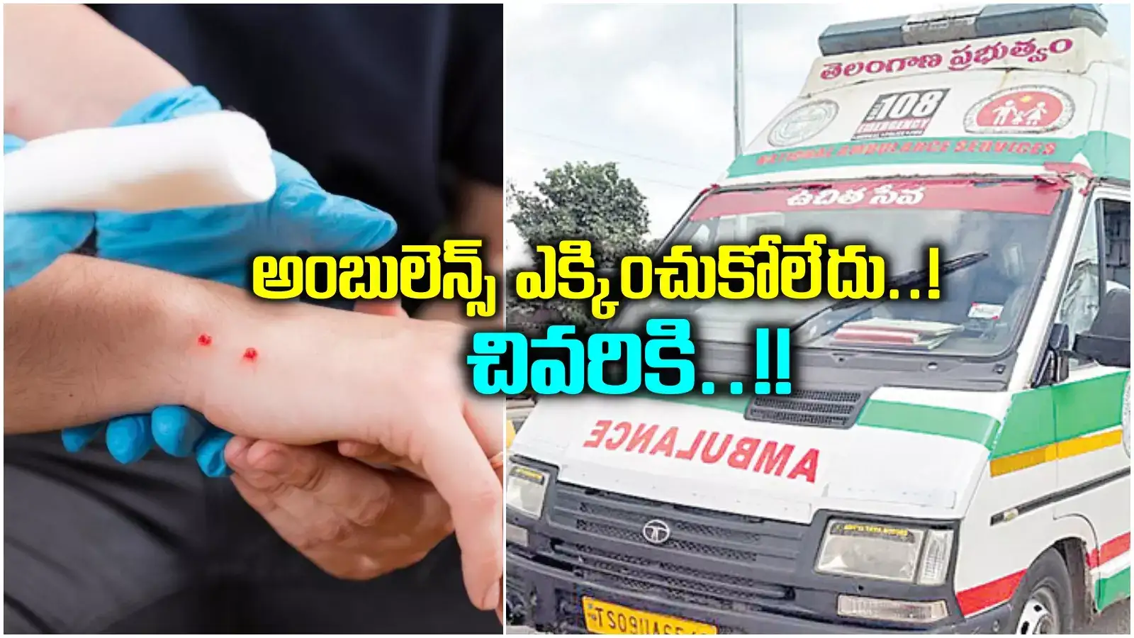 పాముకాటుతో ప్రాణాపాయ స్థితిలో అమ్మాయి.. 108 సిబ్బంది ప్రవర్తనతో, చివరికి..!