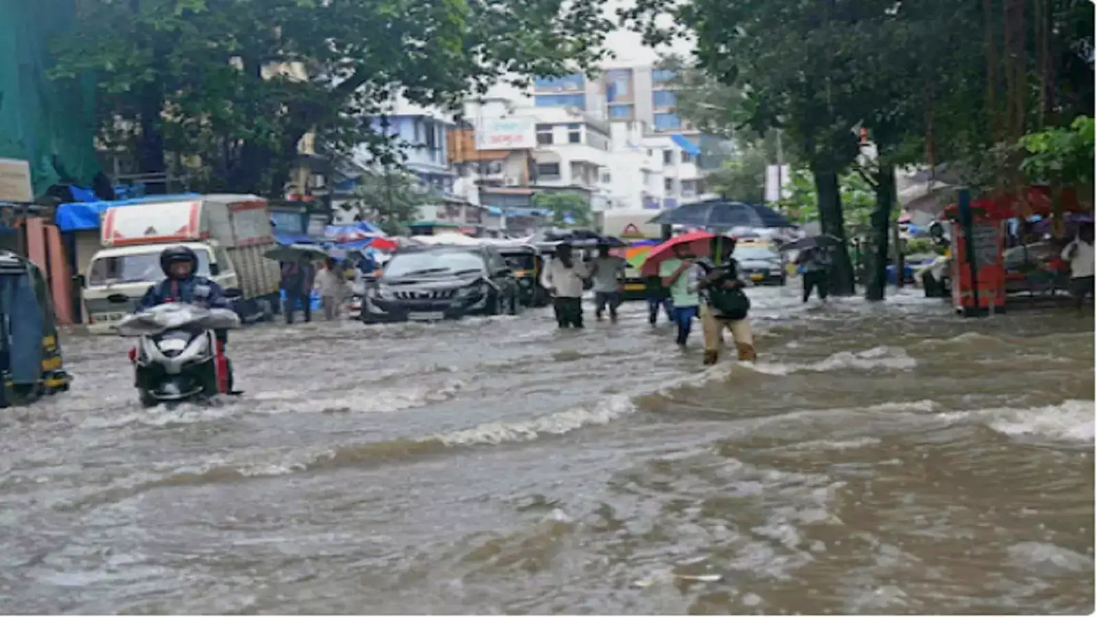 मुंबईत आज मुसळधार पावसाची शक्यता; कोकणासह ‘या’ भागांत ॲलर्ट, काय सांगतो IMDचा अंदाज? मुंबईत आज मुसळधार पावसाची शक्यता; कोकणासह ‘या’ भागांत ॲलर्ट, काय सांगतो IMDचा अंदाज?