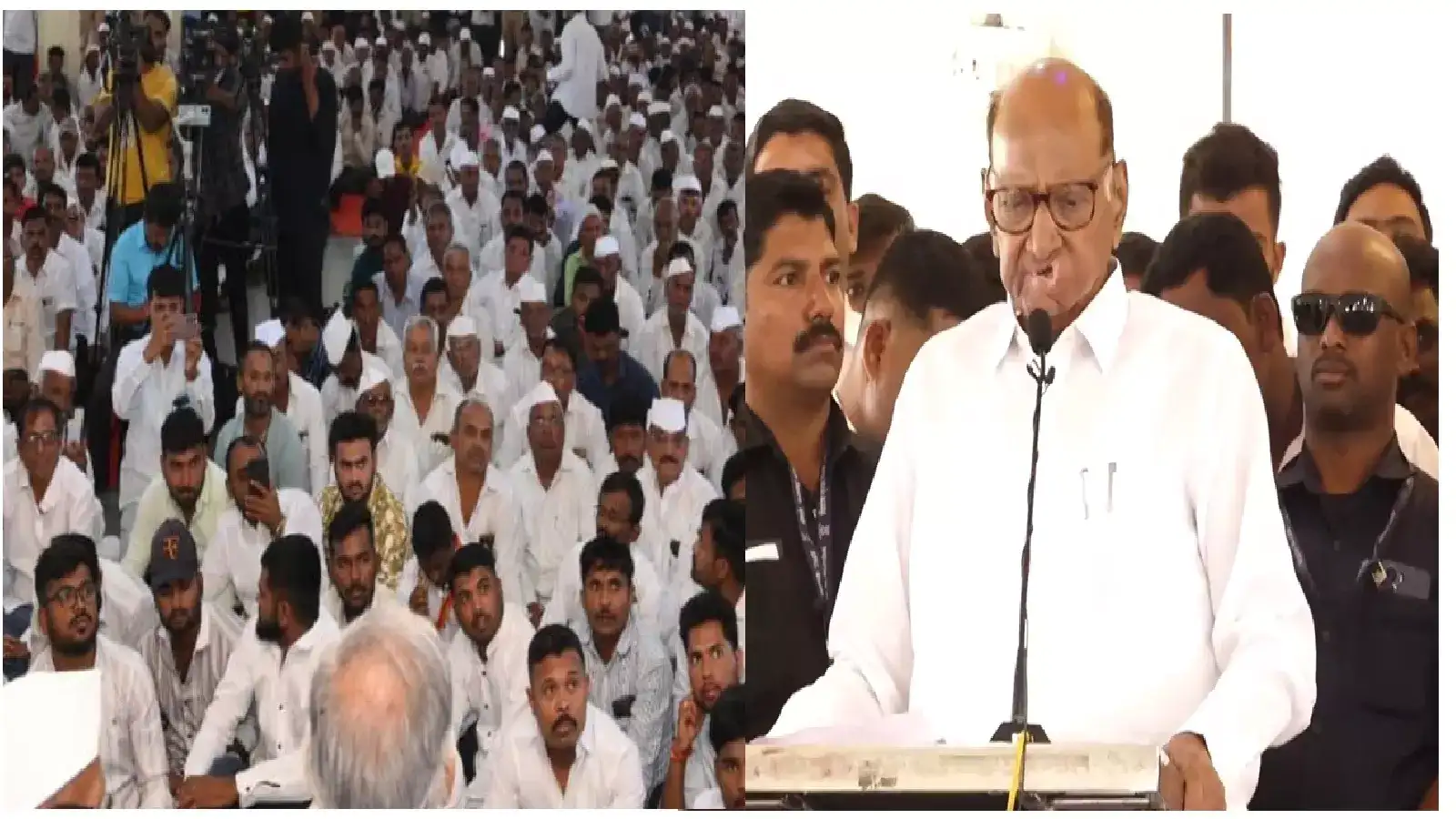 बळीराजाबद्दल आस्था नसणाऱ्यांना खुर्चीतून हटवा, शेतकरी प्रश्नावरून पवारांची मोदींवर सडकून टीका बळीराजाबद्दल आस्था नसणाऱ्यांना खुर्चीतून हटवा, शेतकरी प्रश्नावरून पवारांची मोदींवर सडकून टीका