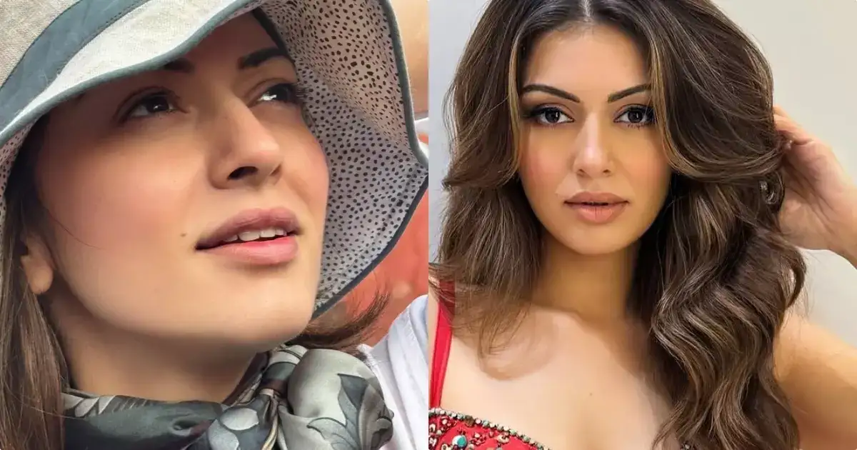 അനിയന്റെ കുടുംബം തകർന്നതിന് പഴി, വിവാഹ ബന്ധത്തിലും ആരോപണം; എല്ലാത്തിനും ഹൻസികയുടെ മറുപടി