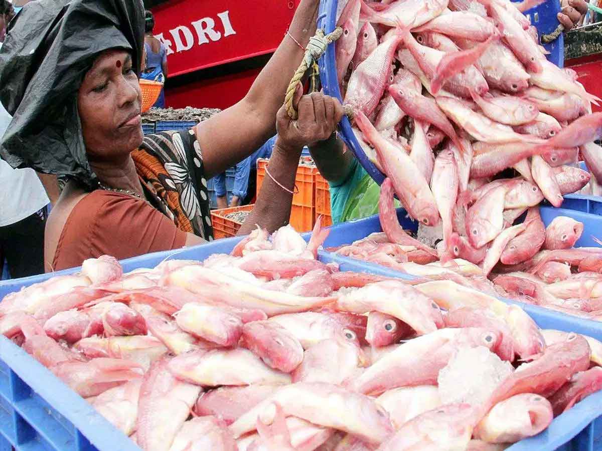 China new rule for covid-19 testing impact on Fish Export of india