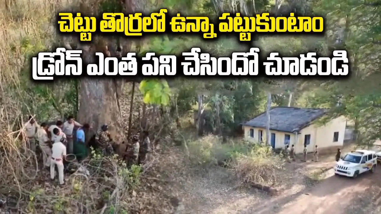 Tiruapati Natu Sara: గాల్లోకి ఎగిరిన పోలీసుల డ్రోన్.. చెట్టు తొర్రలో ఎలా రా నాయనా