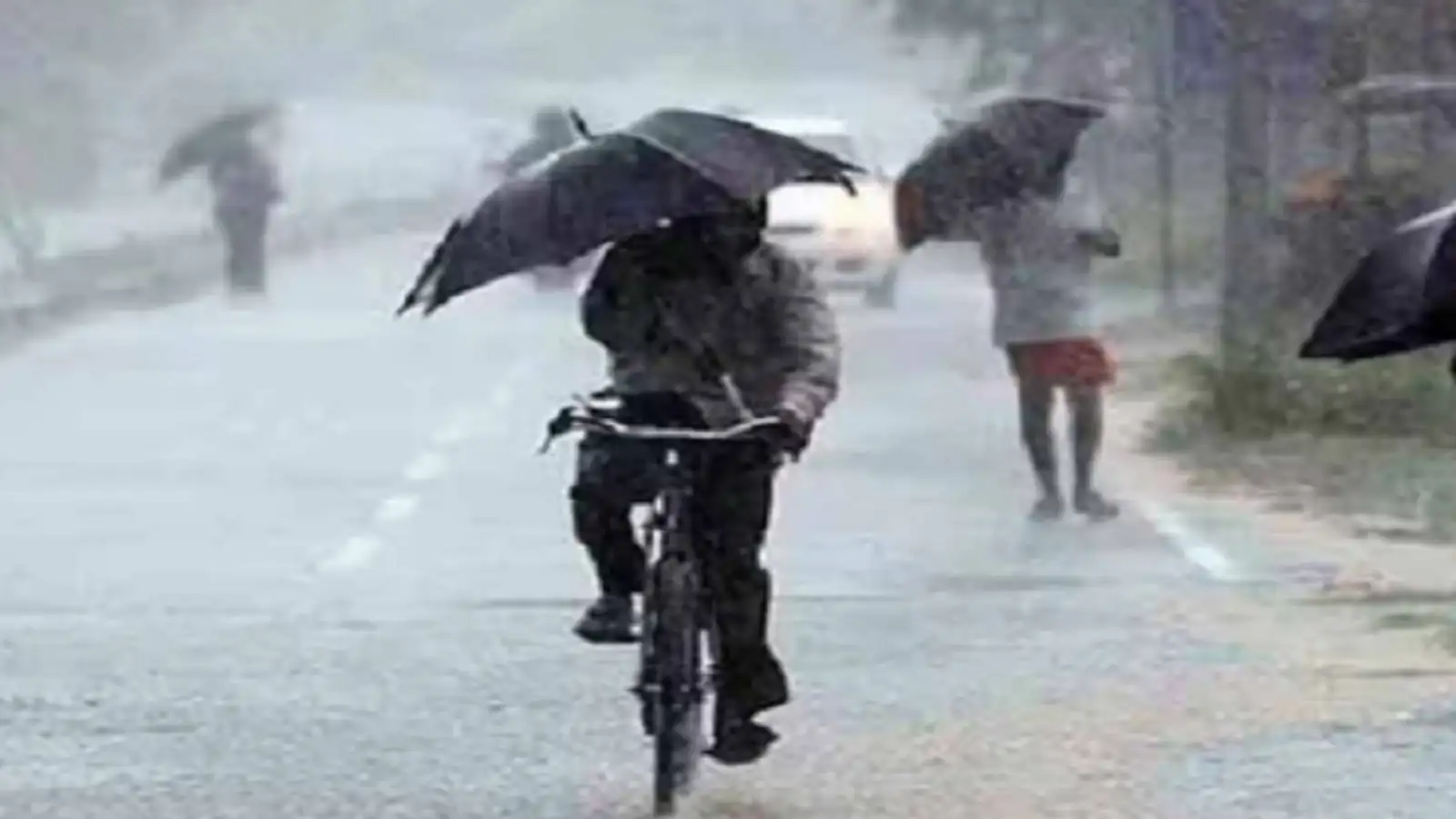 குமரி மீனவர்களுக்கு வானிலை ஆய்வு மையம் சொன்ன ஷாக் நியூஸ்.... சூறாவளி காற்று வீச கூடும் என்பதினால் மீன்பிடிக்கச் செல்ல வேண்டாம்! 