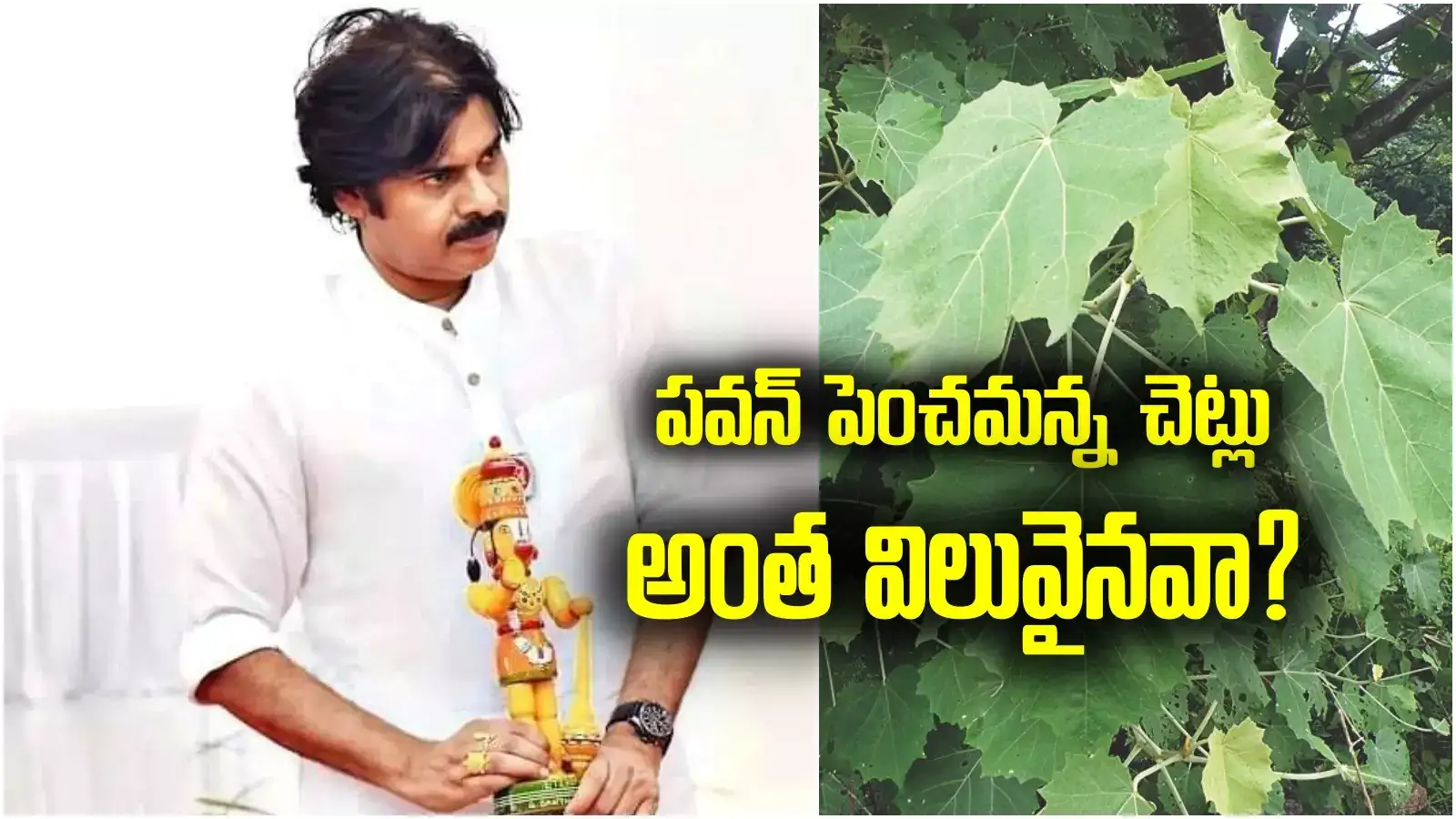 ఏపీలో వారికి పవన్ కళ్యాణ్ తీపికబురు.. అధికారులకు ఆదేశం