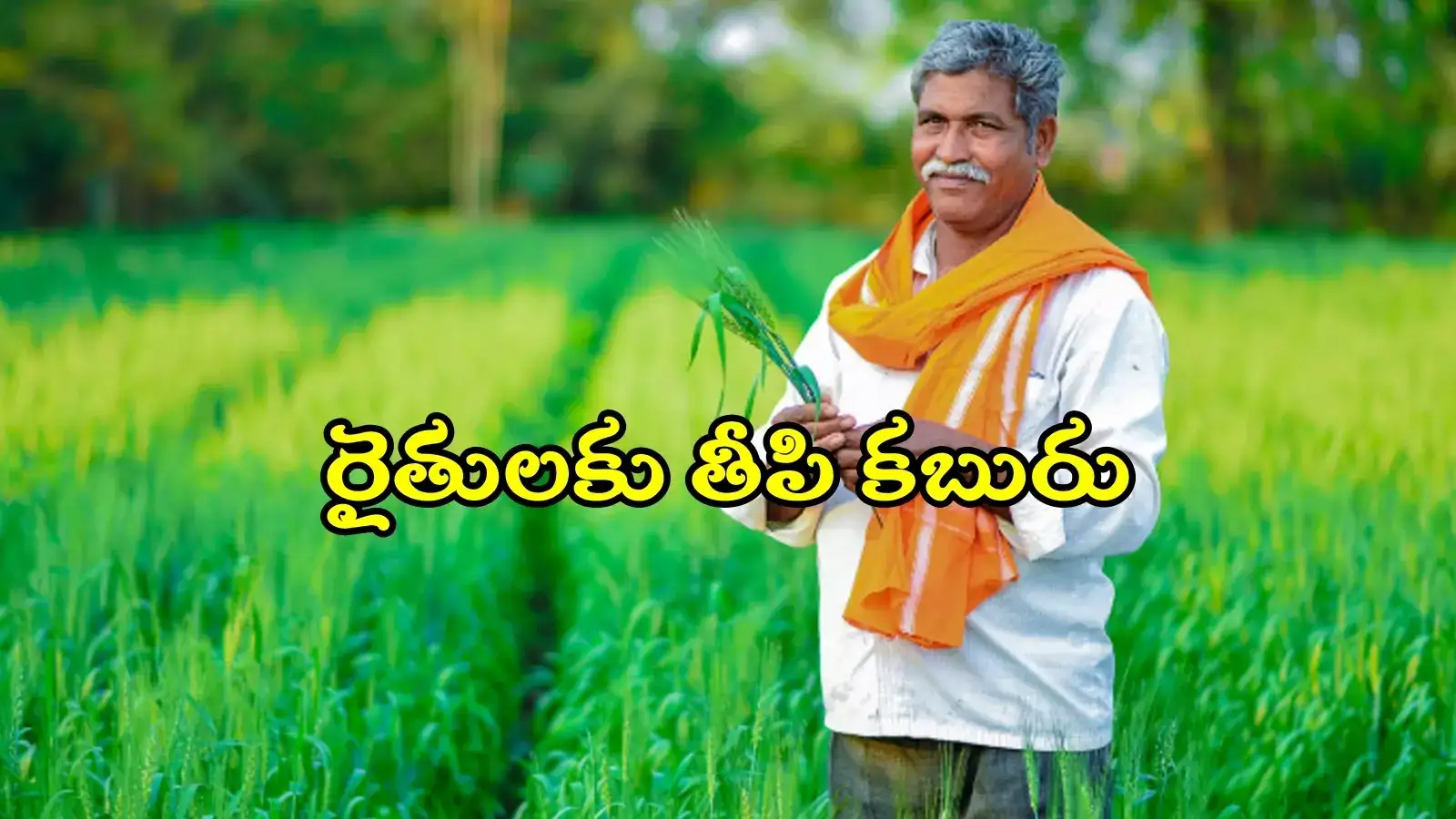 తెలంగాణ రైతులకు తీపి కబురు.. ఈ పంటలకు సైతం బీమా, మంత్రి కీలక ప్రకటన