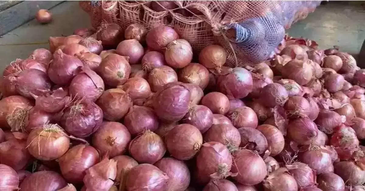 Onion Market Crisis: टोमॅटोचा दिलासा, तर कांद्यांमुळे डोळ्याला धार; बाजारात भाव तब्बल…