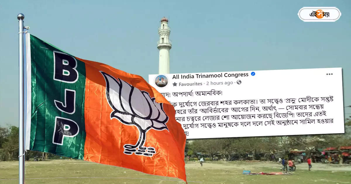 BJP Vs TMC : দুর্যোগের মাঝেও কলকাতায় ‘ড্রোন শো’ বিজেপির, ‘এত নির্লজ্জ!’ সমালোচনা তৃণমূলের – tmc criticised drone show by bjp at shahid minar maidan kolkata ahead lok sabha election