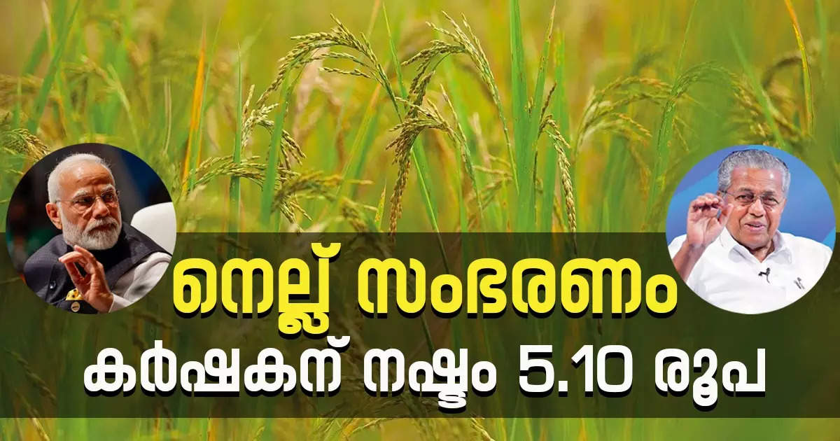 There is no State Government along with the Centre;  5.10 rupees per kg loss of paddy farmer;  How?