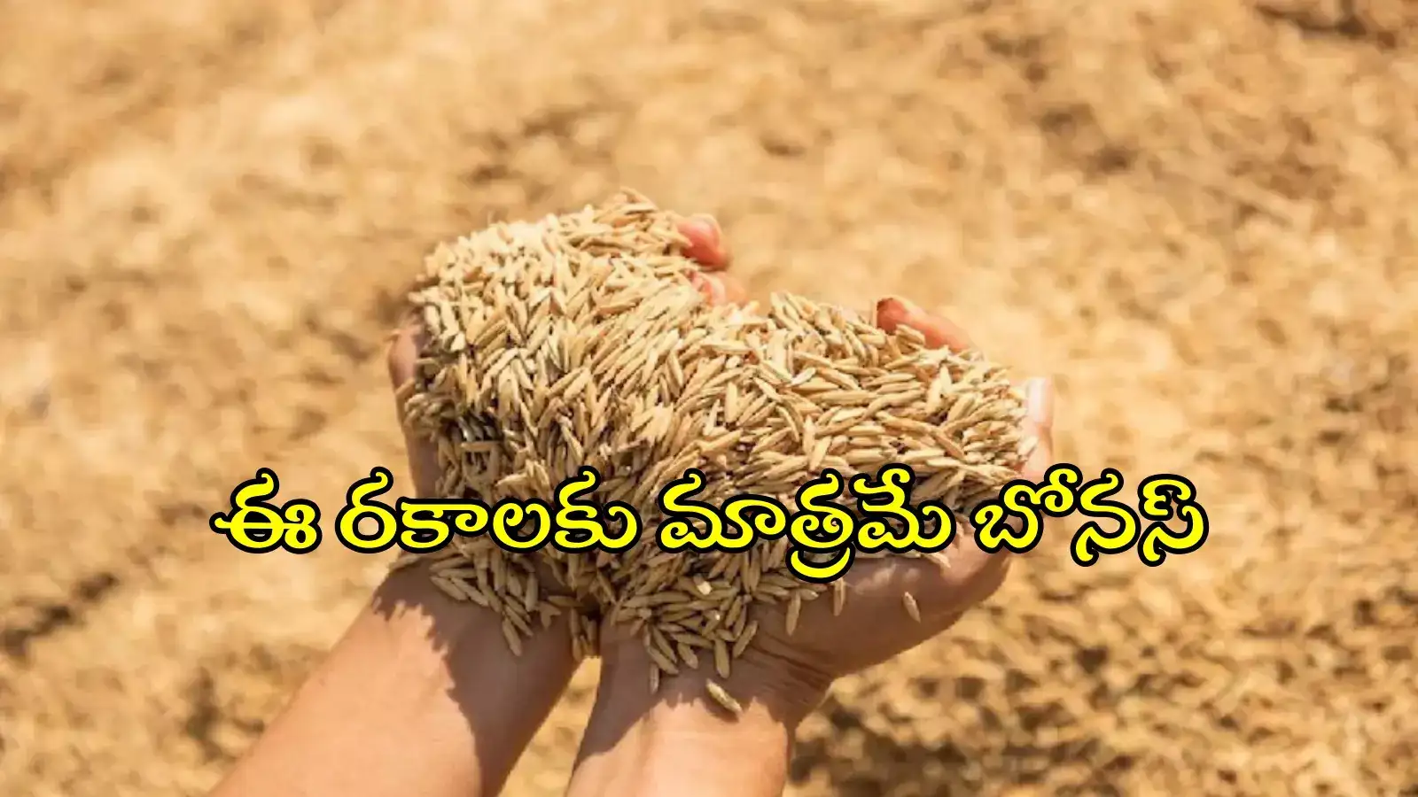 వరి ధాన్యానికి రూ.500 బోనస్.. ఈ రకాలకు మాత్రమే, ఎలా చెల్లిస్తారంటే..