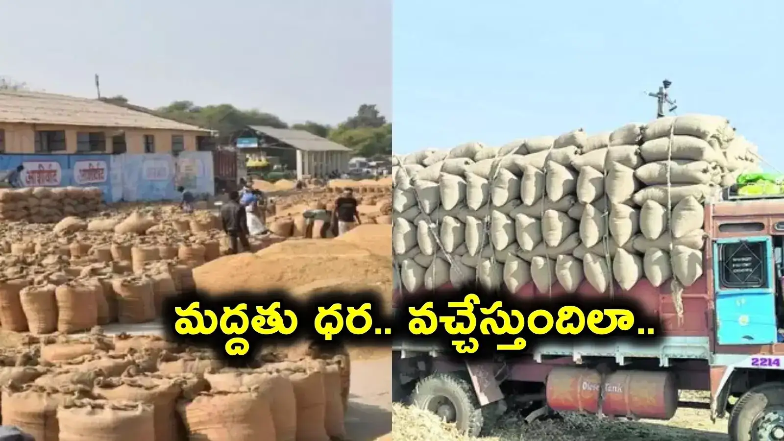 మీ ధాన్యానికి మద్దతు ధర రాలేదా..? దిగులు చెందకండి.. ఇలా చేయండి..